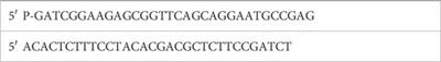 Aromatic amino acid metabolites alter interferon signaling and influenza pathogenesis